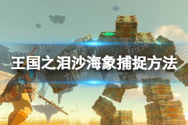 《塞尔达传说王国之泪》攻略——沙海象怎么捕捉