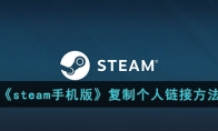 《steam手机版》攻略——复制个人方法