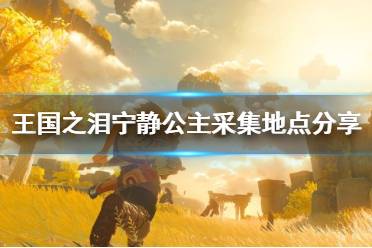 《塞尔达传说王国之泪》攻略——宁静公主采集地点