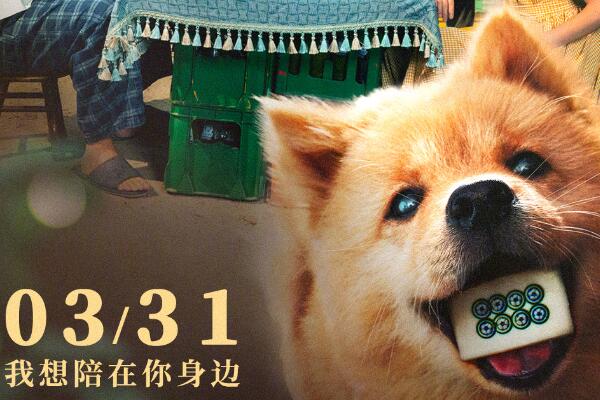 （话题）《忠犬八公》新预告 今日开始预售：3月31日全国上映