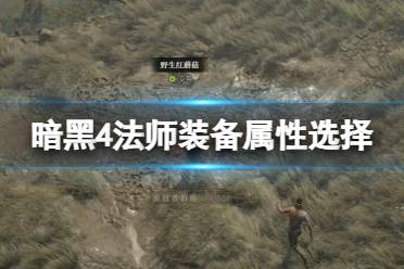 《暗黑破坏神4》攻略——法师装备属性怎么选