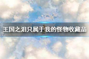 《塞尔达传说王国之泪》攻略——只属于我的怪物收藏品任务攻略