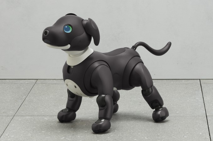 2023全新限定配色的索尼机器宠物狗——aibo